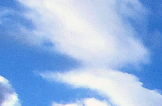 Centro Studio Homes | Apartments in Austin, TX